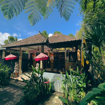 Homestay Sente Munduk Exterior foto
