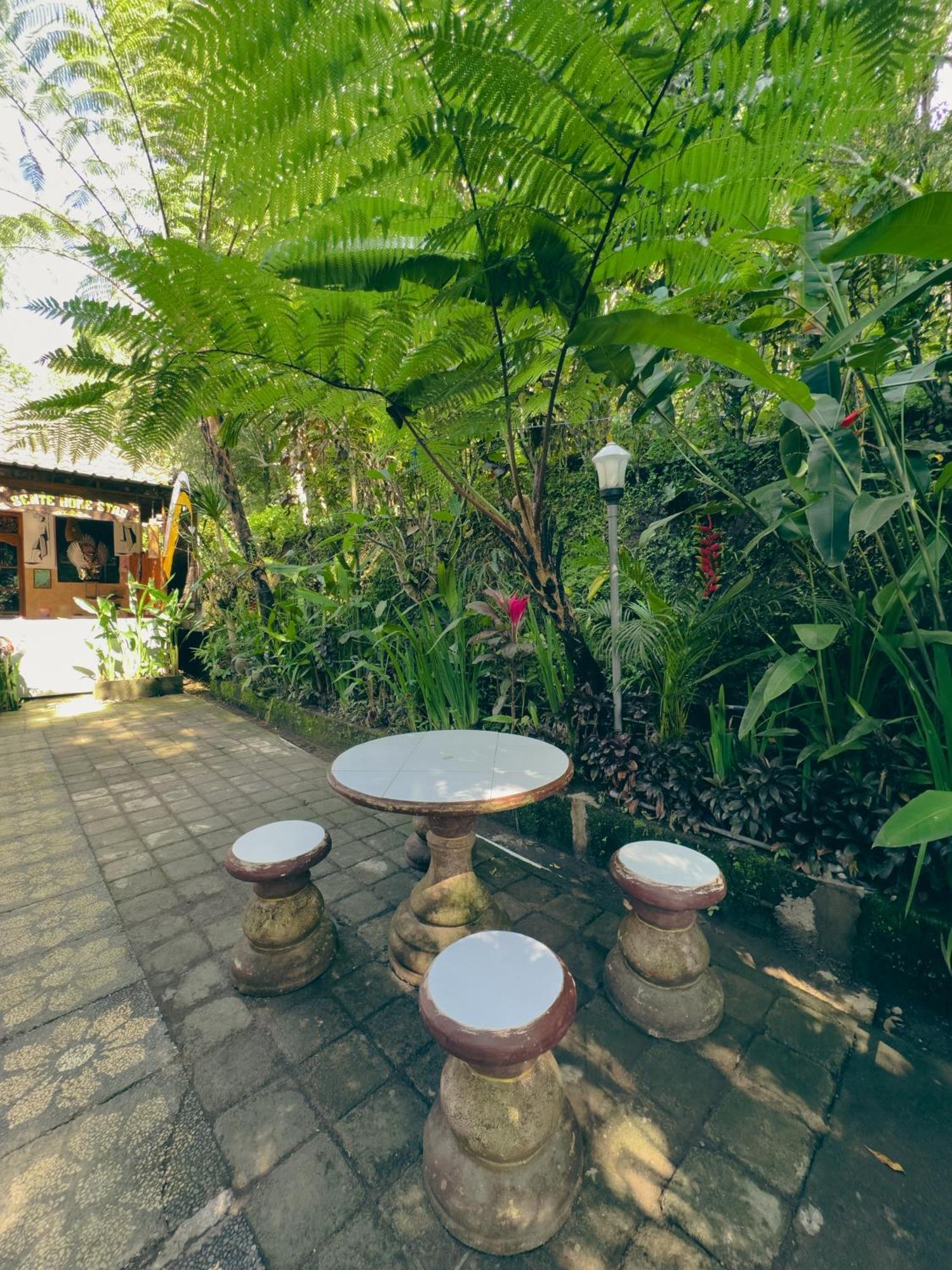 Homestay Sente Munduk Exterior foto