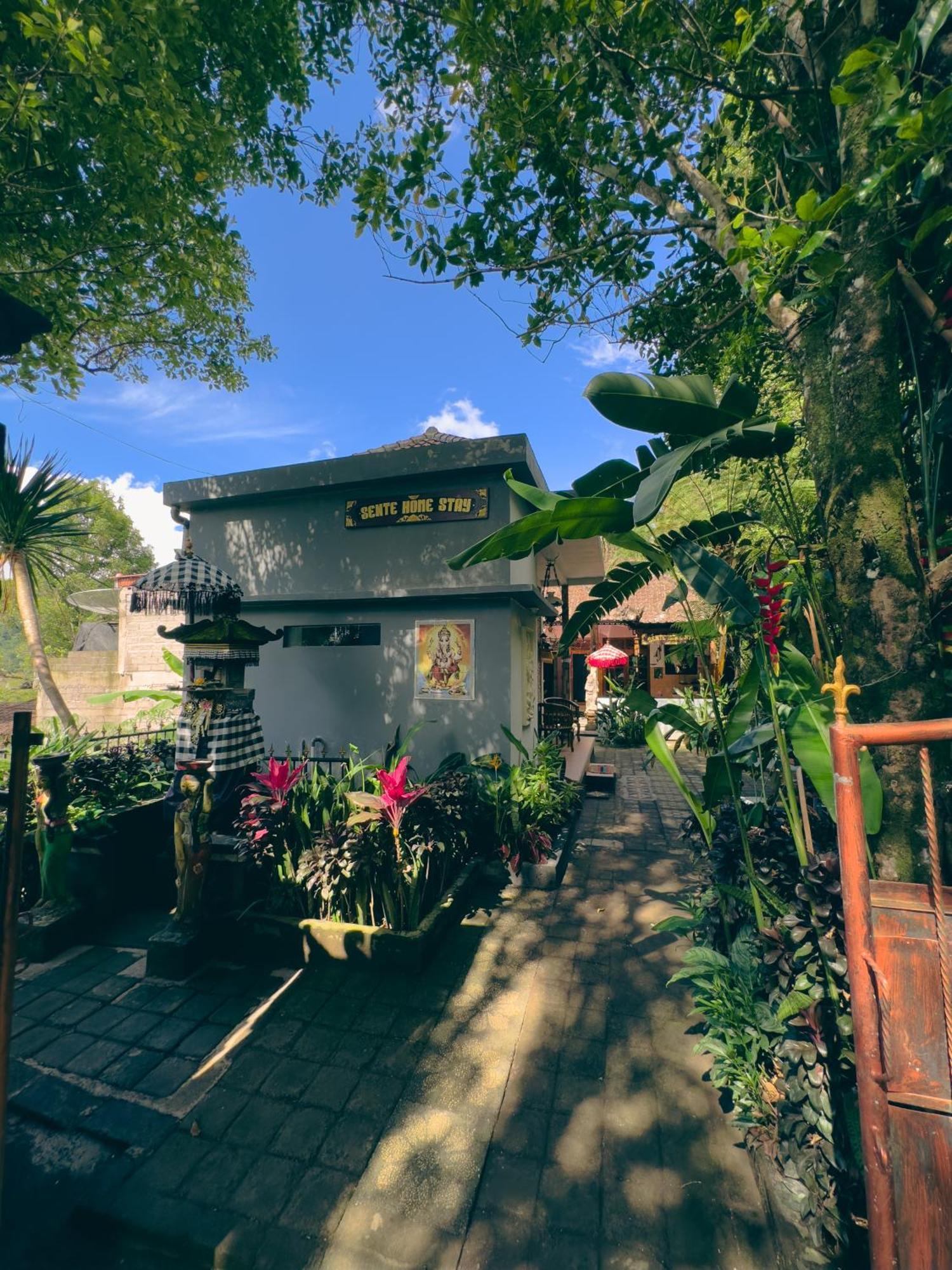 Homestay Sente Munduk Exterior foto